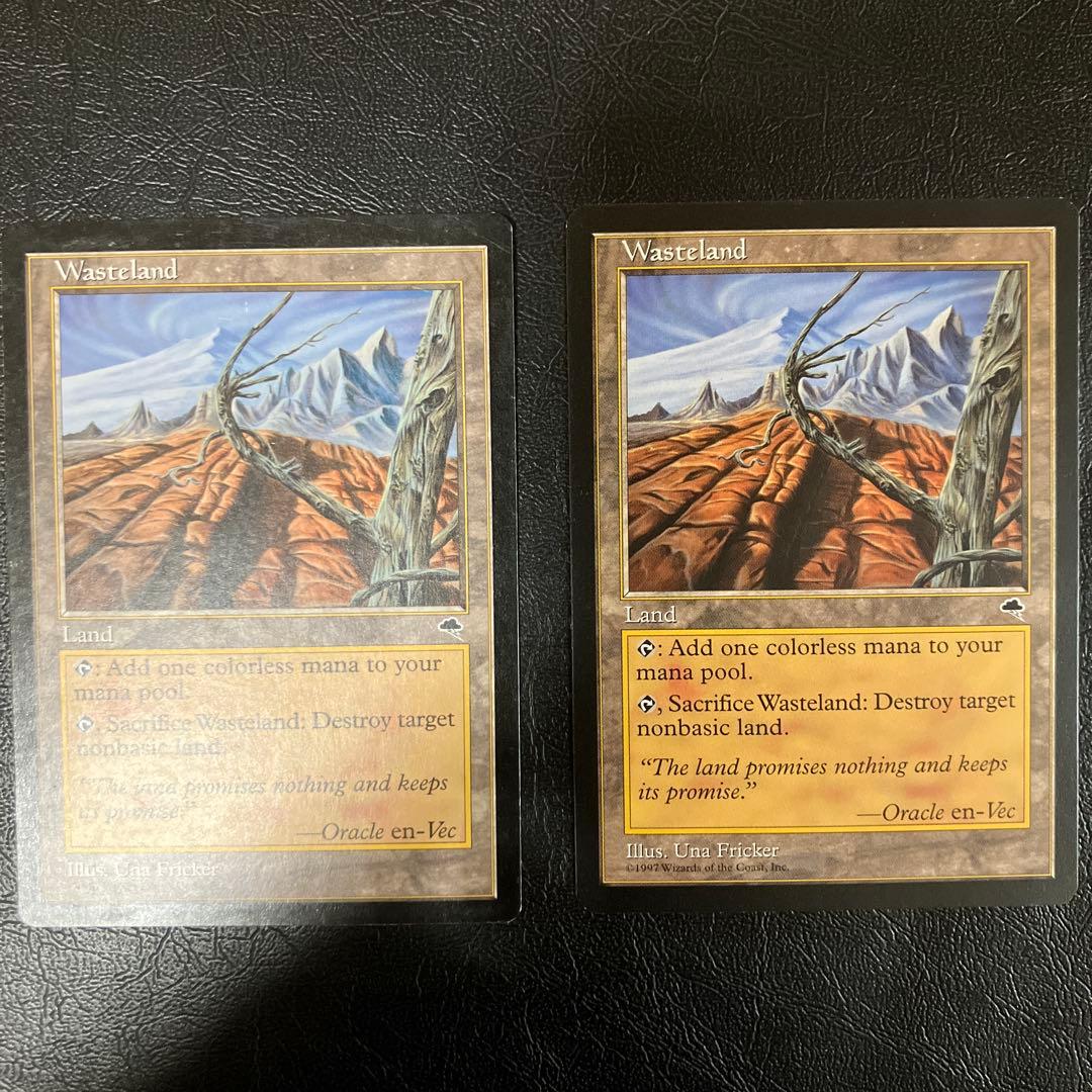 不毛の大地 mtg テンペスト 旧枠英語 ミドルスクール - メルカリ