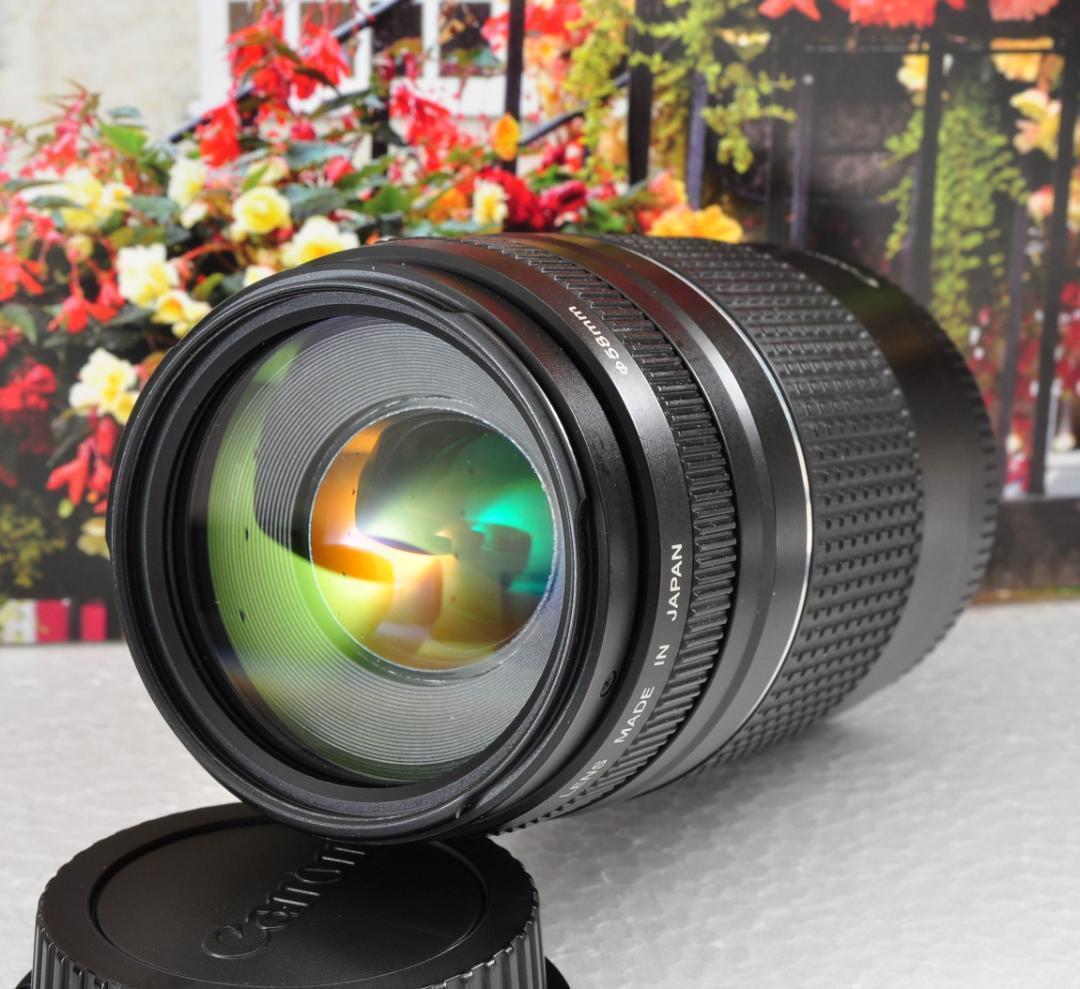 貴重な一瞬を望遠で！Canon キヤノン 望遠レンズEF75-300mm♦2