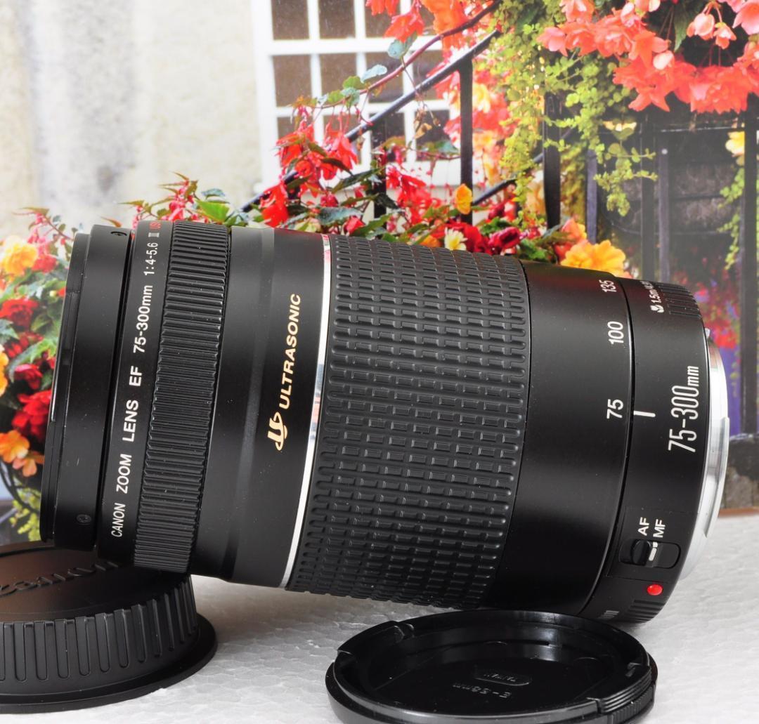 貴重な一瞬を望遠で！Canon キヤノン 望遠レンズEF75-300mm♦2