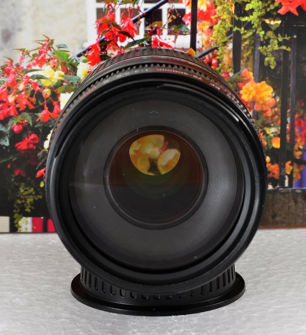 貴重な一瞬を望遠で！Canon キヤノン 望遠レンズEF75-300mm♦2