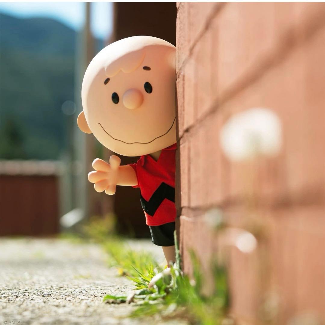 PEANUTS スヌーピー チャーリーブラウン 大型 フィギュア限定Super7