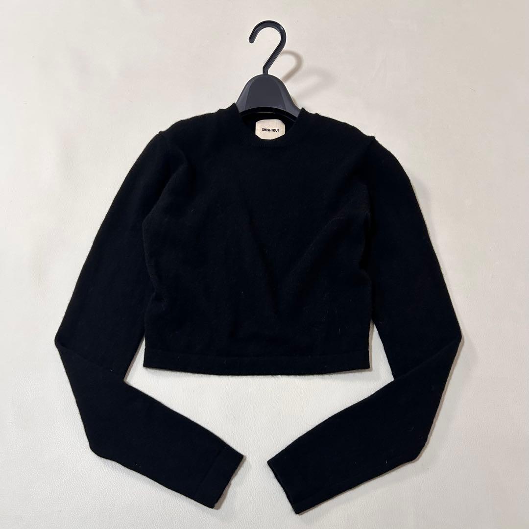 シシクイ　SHISHIKUI カシミヤ100% クロップド丈クルーネックニット 美品✨THE SHISHIKUI シシクイ ウールカシミヤ クルーネックニット