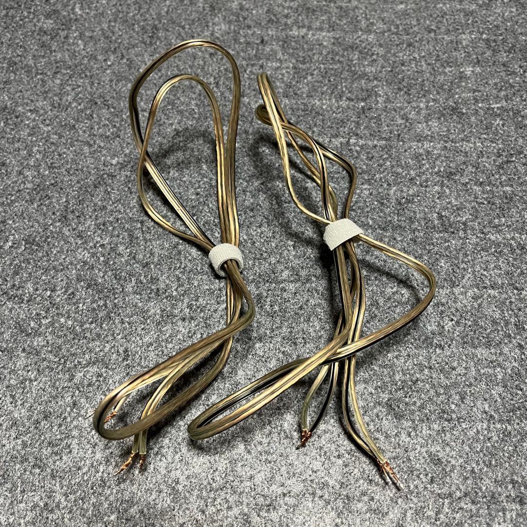 JVC EX-NW1 WOOD CONE ウッドコーン スピーカー