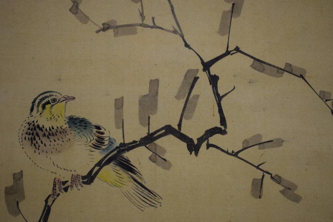 真作/山本梅逸/四季草花小禽図/桐太巻箱付/布袋