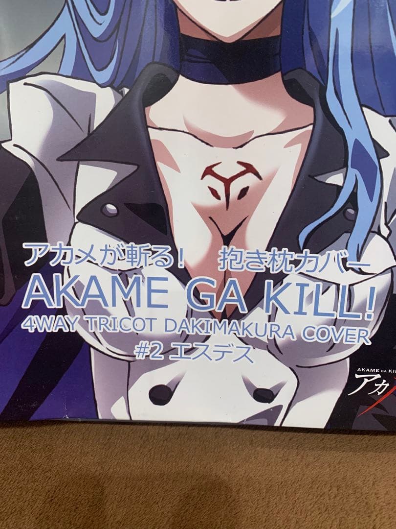 【未使用】 アカメが斬る！ エスデス 抱き枕 カバー 限定イラスト 蓋付き