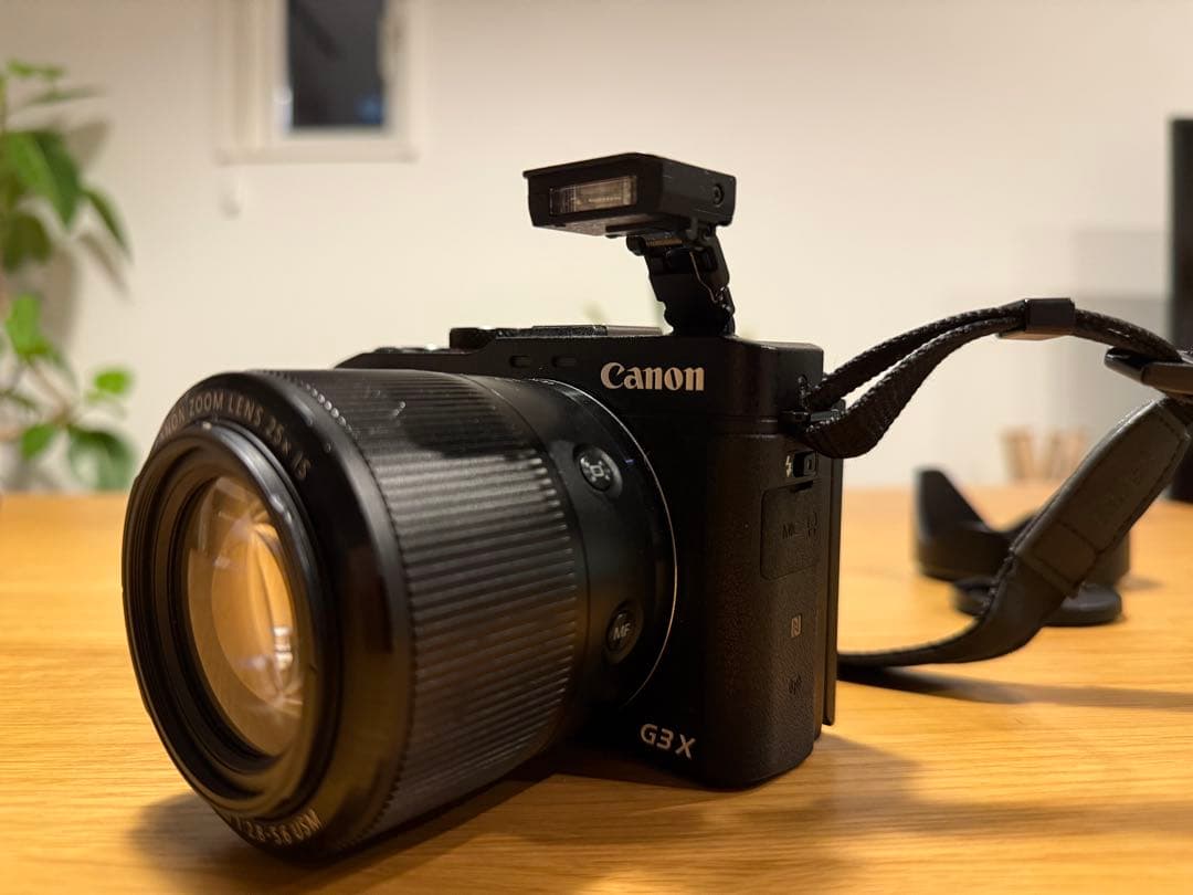 キャノンCanon Power Shot G3X