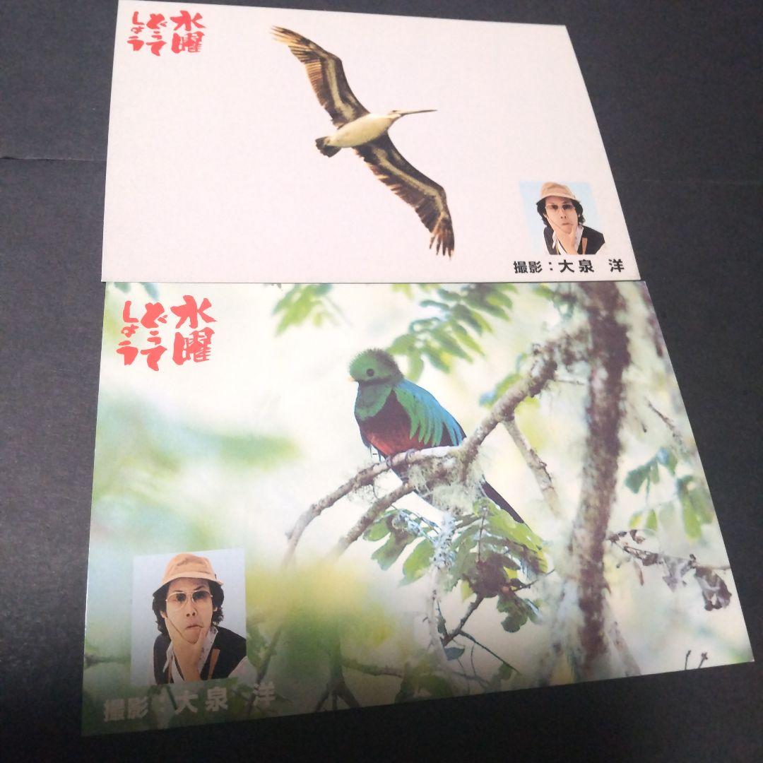 大泉洋 水曜どうでしょう コスタリカポストカード - メルカリ