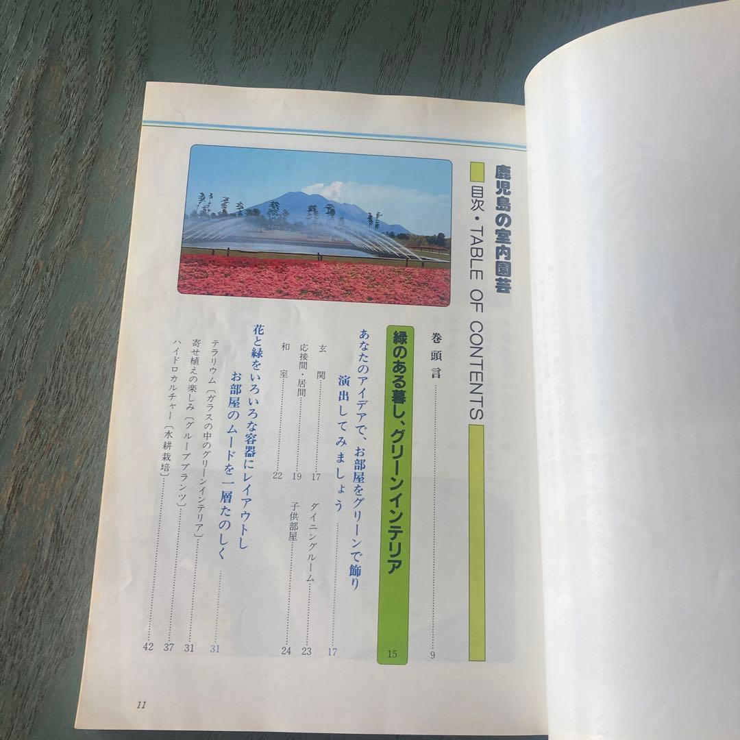 鹿児島の室内園芸 新しい園芸の楽しみ方 (鹿児島の園芸百科シリーズ) 瀬戸正徳