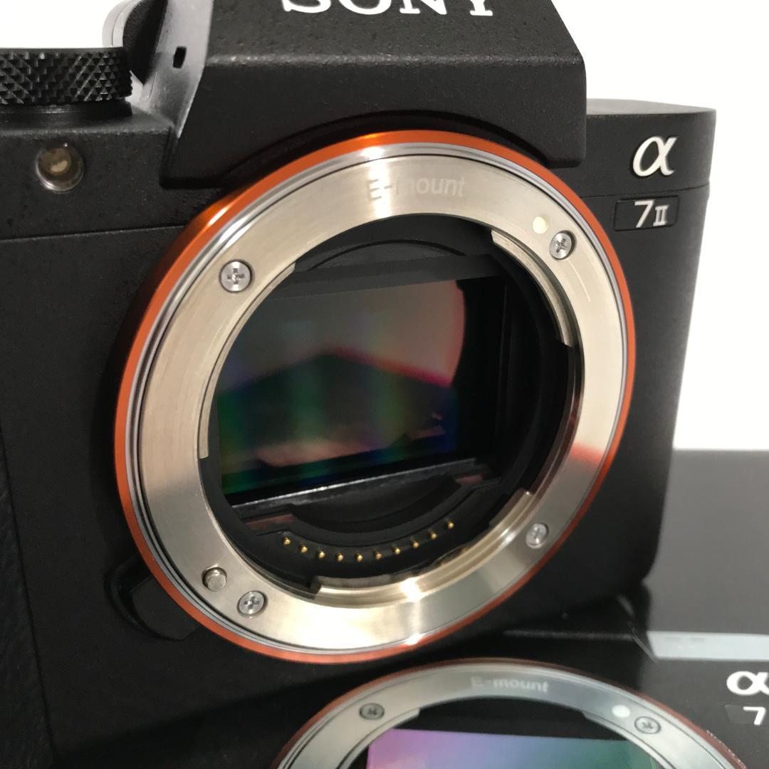 【撮影枚数2,763】SONY α7II ILCE-7M2