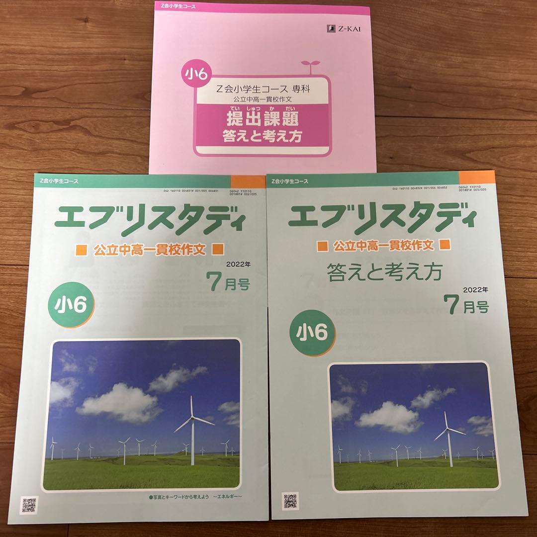 Z会 エブリスタディ 公立中高一貫校 作文 小6 2022年 4〜12月 一年分