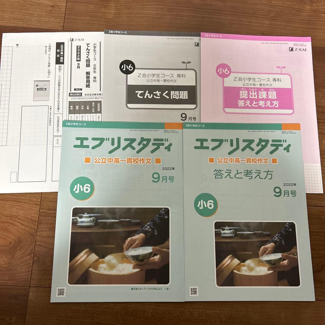 Z会 エブリスタディ 公立中高一貫校 作文 小6 2022年 4〜12月 一年分