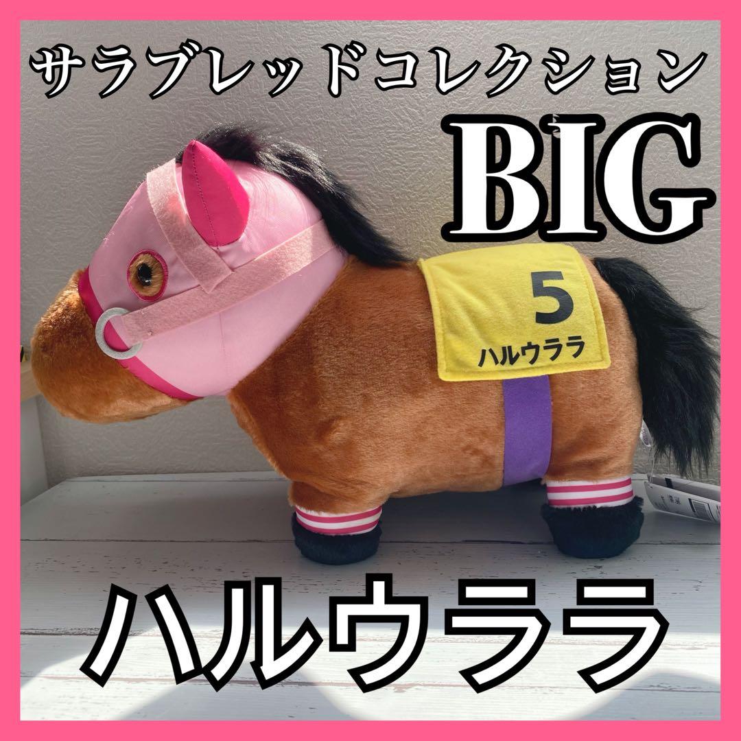 ハルウララ ぬいぐるみ ビッグ サラブレッドコレクション - メルカリ