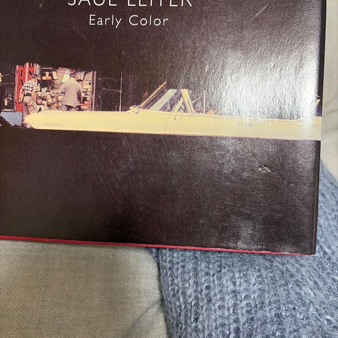 値引き中】SAUL LEITER Early Color 8th 英語版 - アート・デザイン