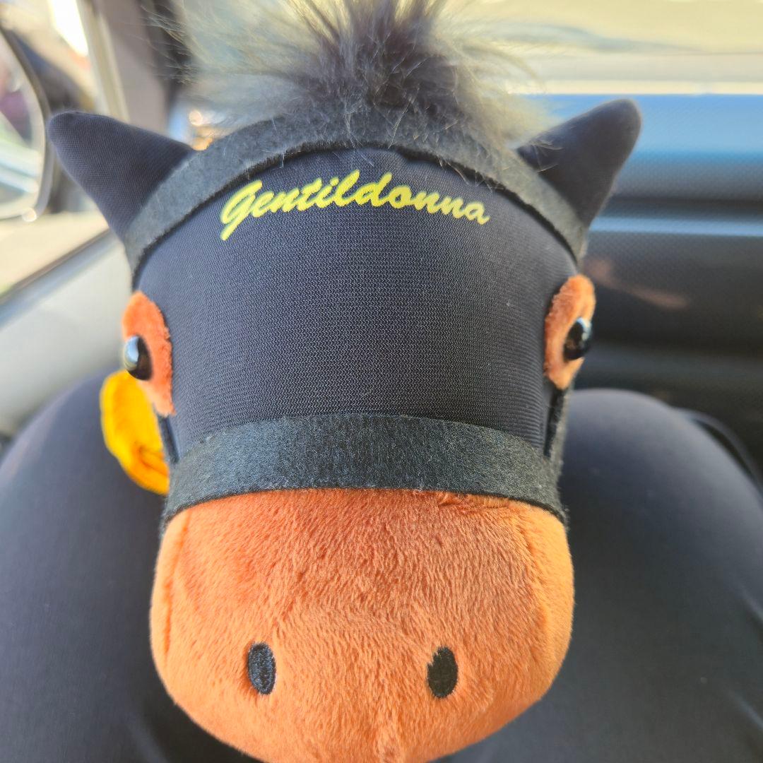 サラブレッドコレクション ふわふわBIGぬいぐるみ(ジェンティル