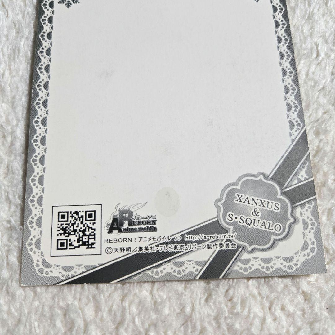 希少 家庭教師ヒットマンREBORN リボアニポストカード ザンザス