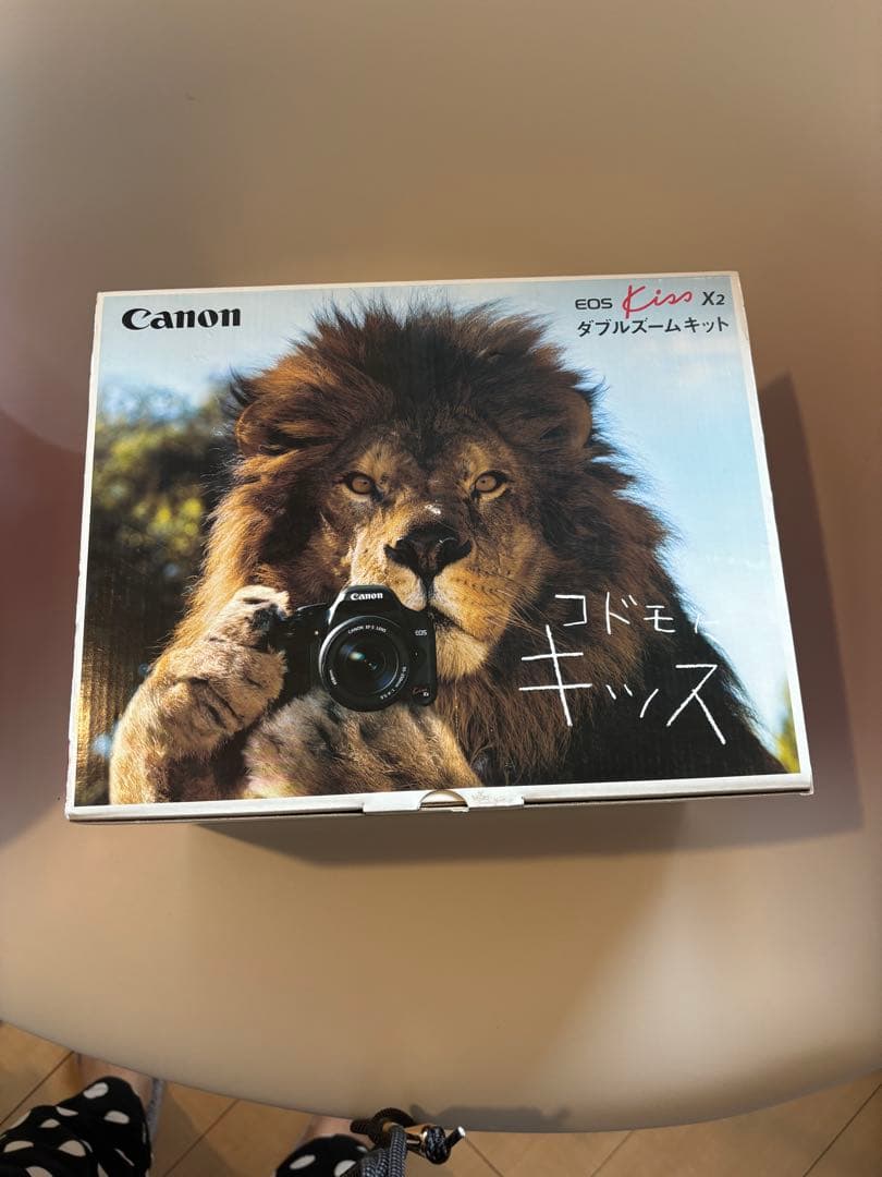 Canon EOS KISS×2 ダブルズームキット　専用箱あり