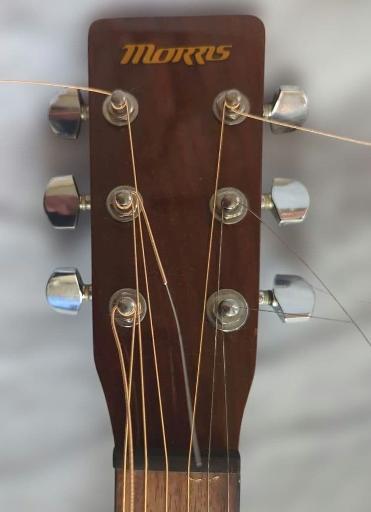 Morris エレアコギター MF-256TSサンバースト - ギターオリジナル