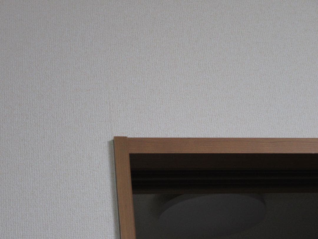 【オールドコンデジ】 Canon PowerShot SX610HS