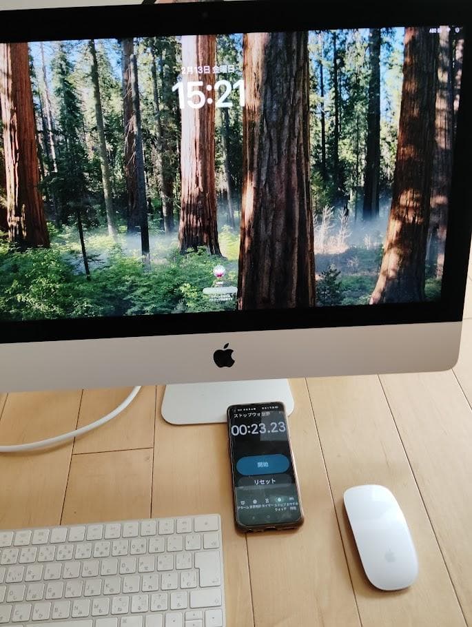 iMac 4K 21.5 2019年　SSD　500GB