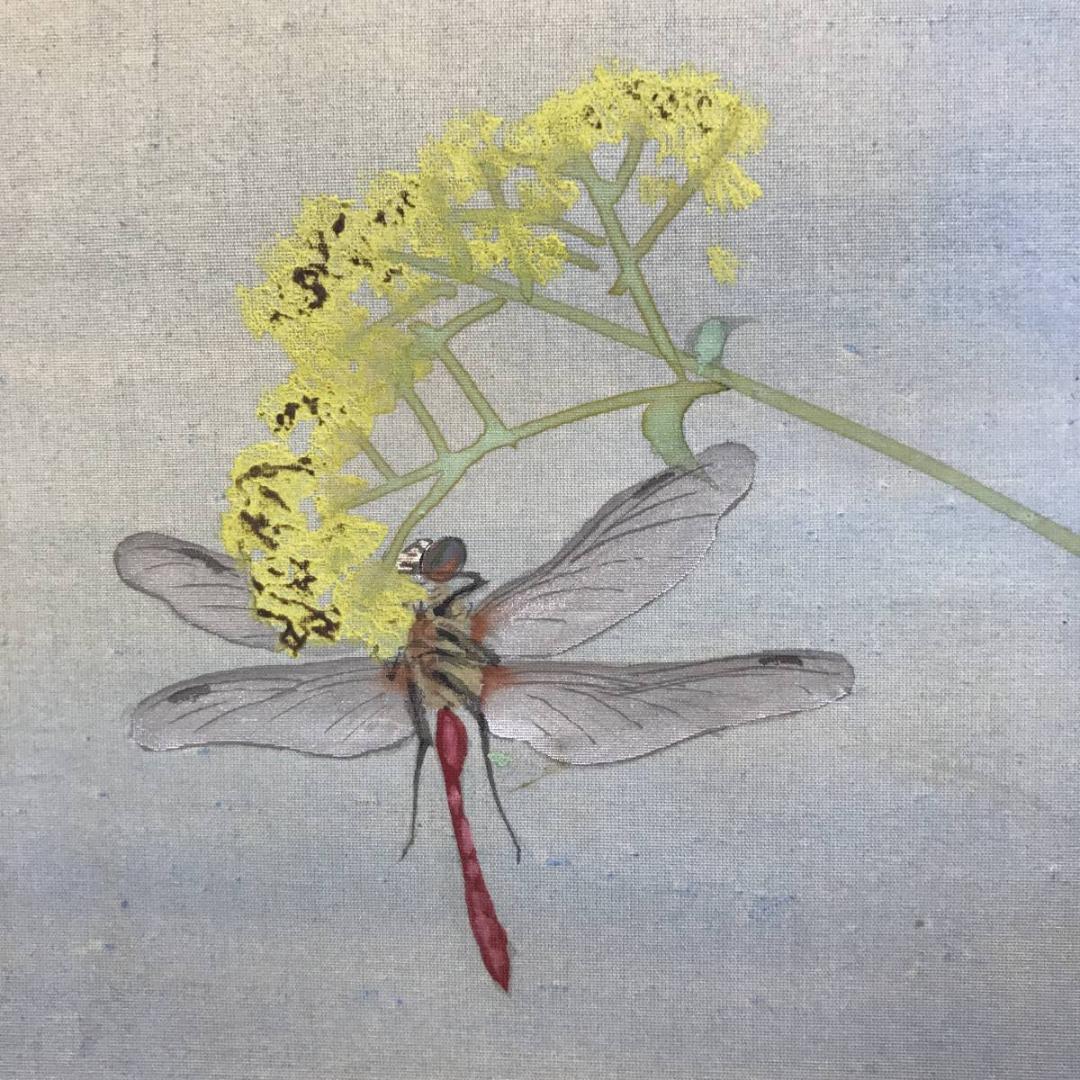 真作/雑喉紅朝/朝顔/オミナエシトンボ図/夏の花図/掛軸/名家