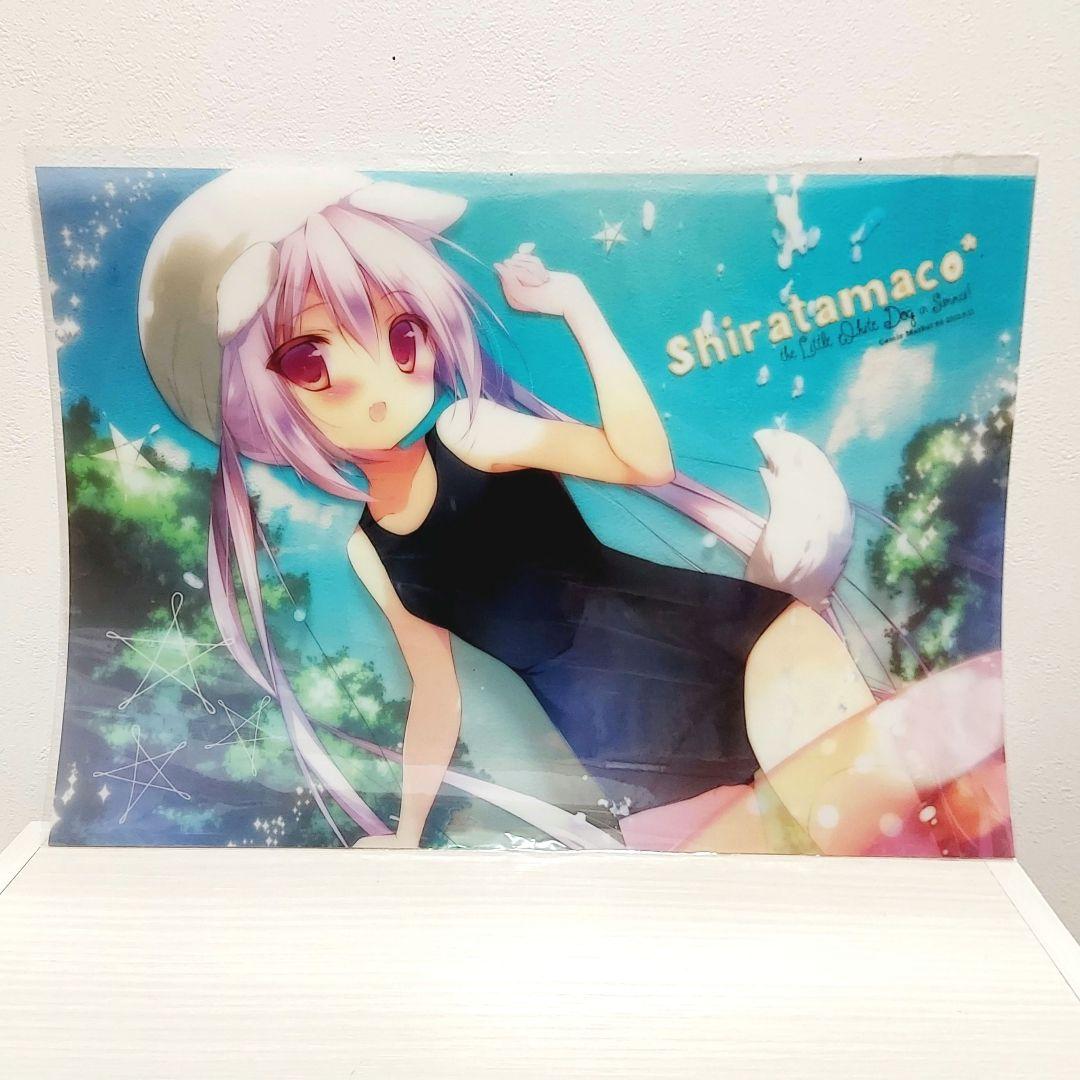 しらたまこ しろいいぬ A3クリアハードポスター C84 しらたま