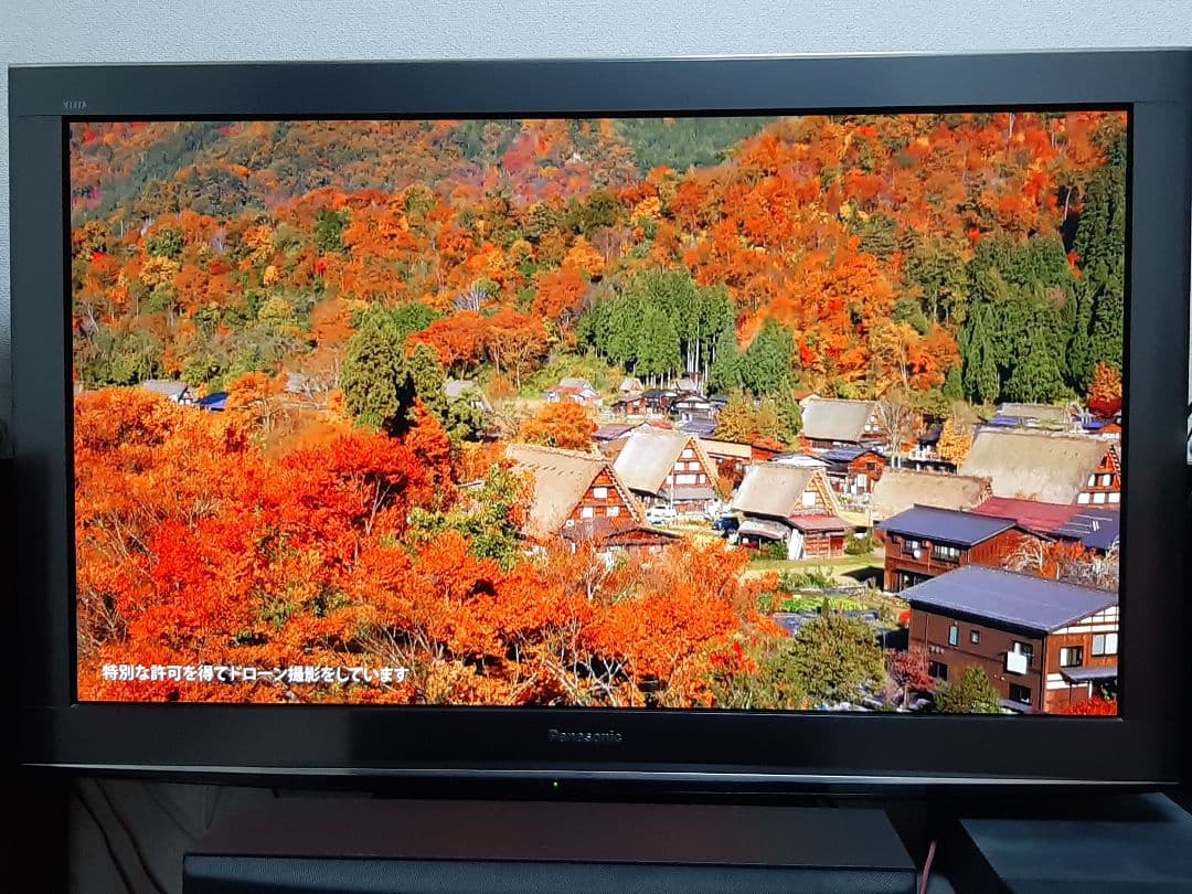 Panasonic プラズマテレビ TH-P46V2(一部焼付きあり)