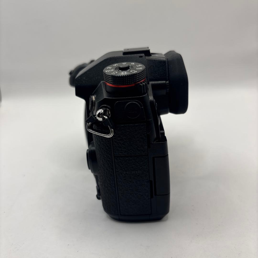 デジタルカメラ Panasonic DC-G9