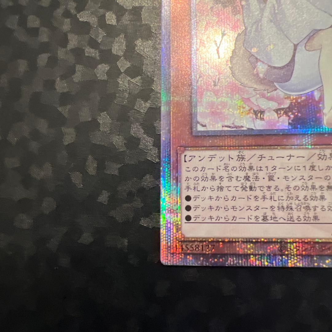 遊戯王】灰流うらら イラスト違い【QCSEクオシク25th】【絵違い