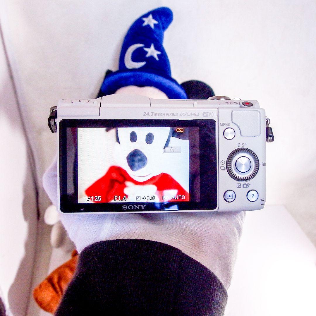 極上完動美品 SONY α5100 ILCE-5100 ホワイト ボディ