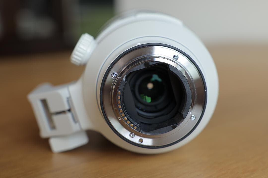 ソニー FE 100-400mm F4.5-5.6 GM OSS