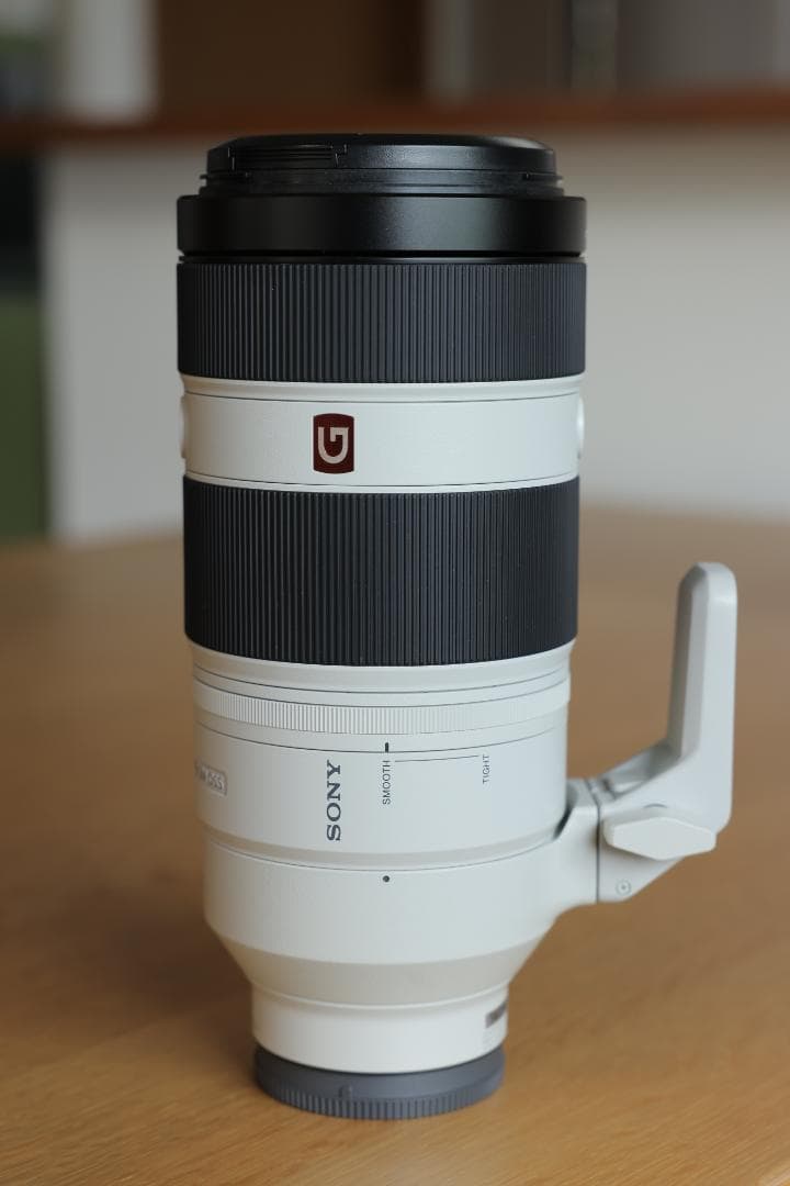 ソニー FE 100-400mm F4.5-5.6 GM OSS