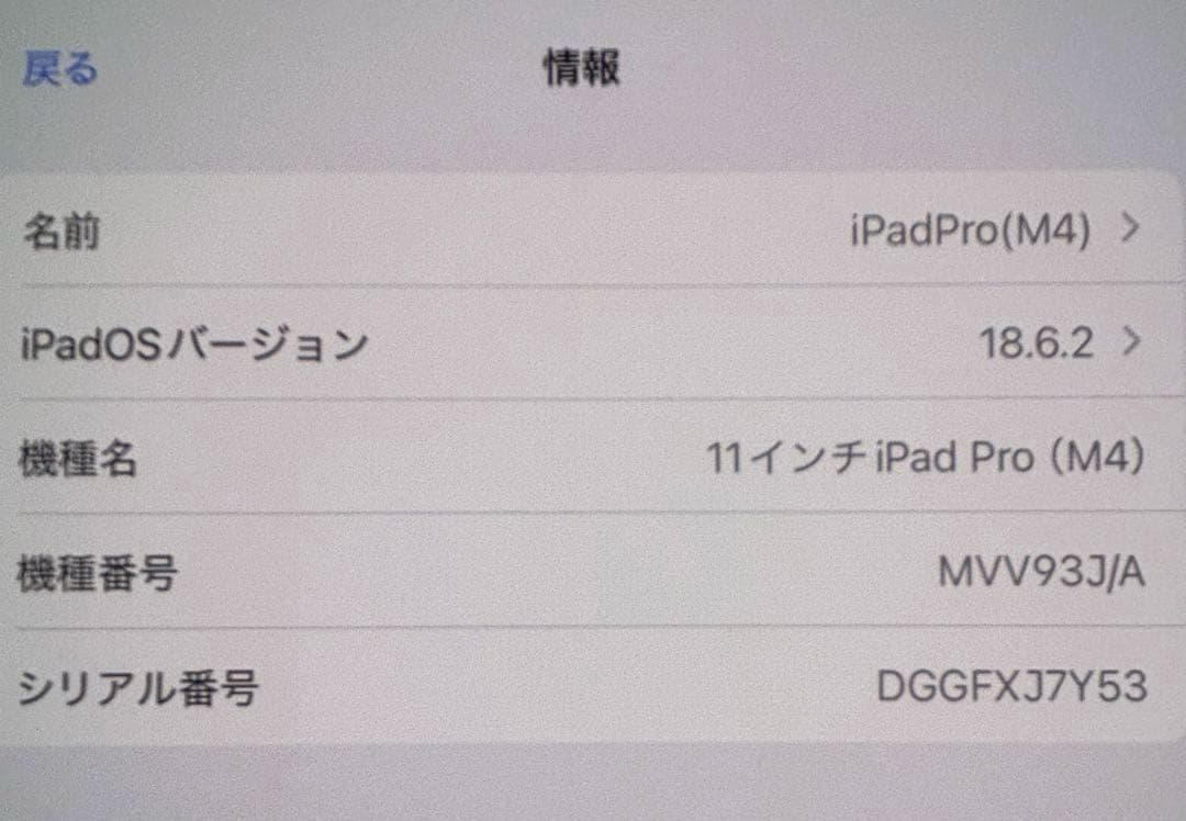 iPad Pro(M4) 256GB 11インチ Wi-Fiモデル