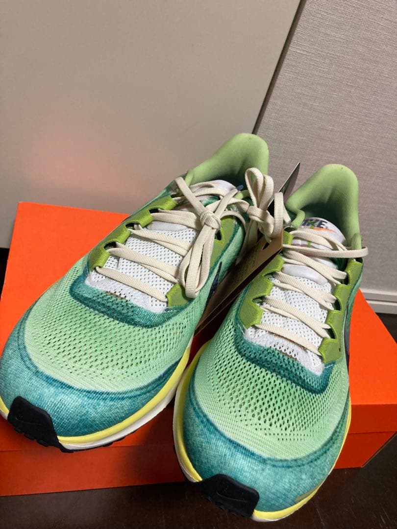 NIKE ペガサス 41 SE マルチカラー 29.5cm 新品未使用