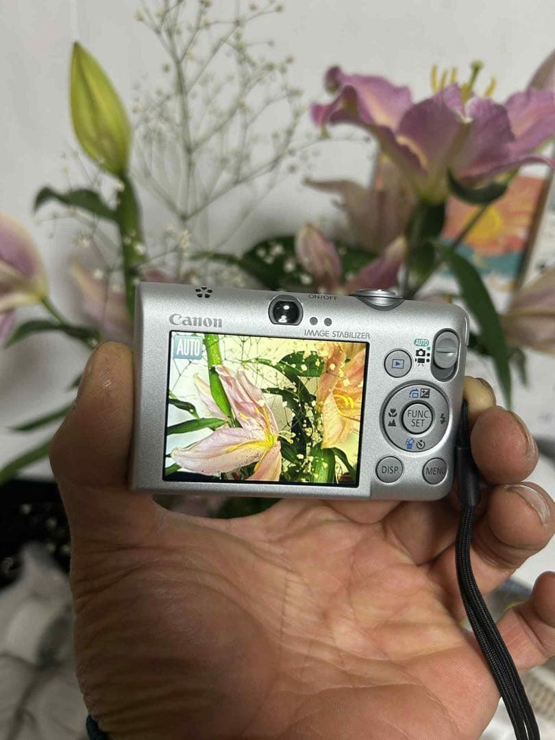 デジタルカメラ Canon IXY digital 110 IS PC1355