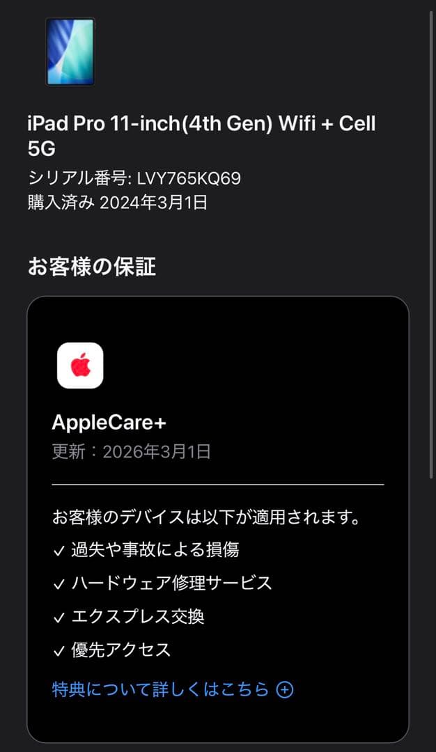 iPad Pro 11インチ 第4世代 256GB セルラーモデル シルバー