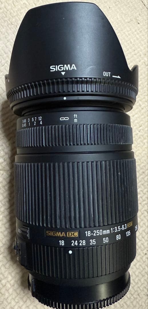 SONY α77 キットレンズ、シグマの望遠付き！