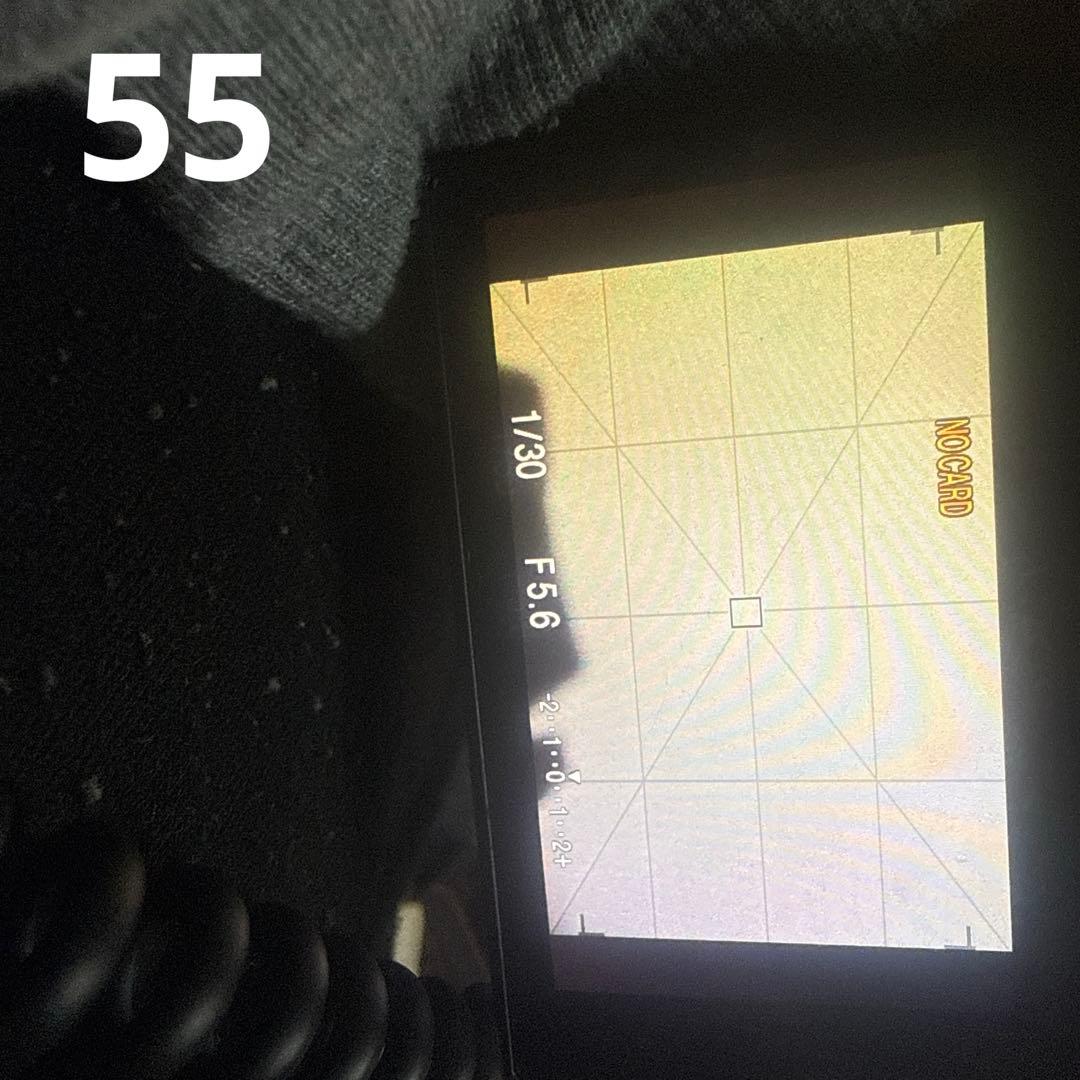 SONY α58Ⅱ a55デジタル一眼レフカメラ　Aマウント