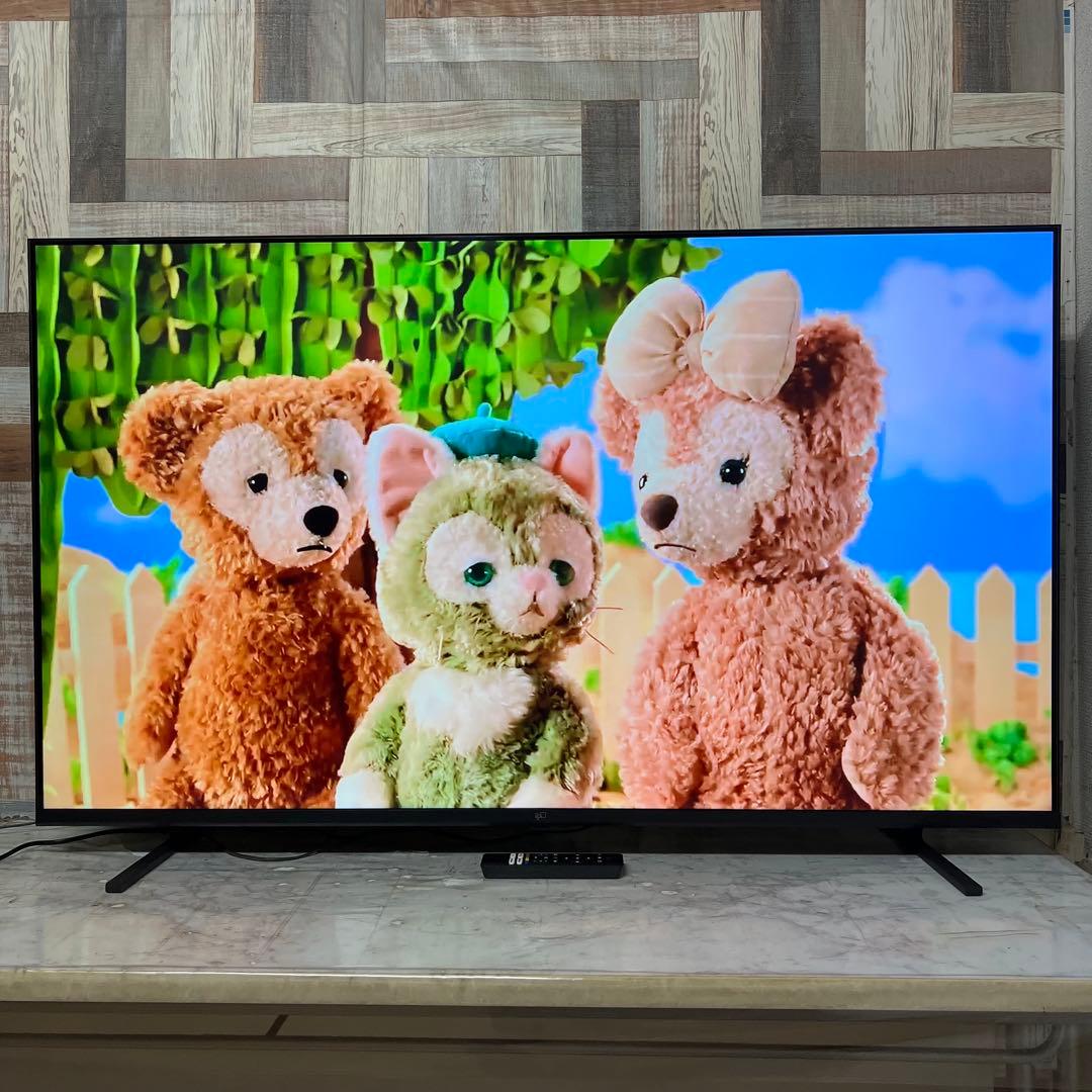 全国送料込❣️昨年購入FPD55T型4K液晶GoogleTV ネット動画多数