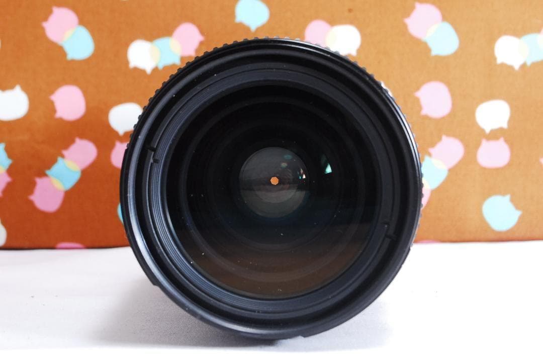 ✨お買い得✨ショット回数3742回✨Nikon D70 レンズセット - メルカリ