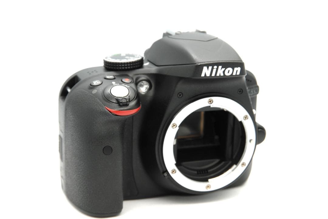 Nikon D3300 レンズキット AF-S 18-55mm GⅡ 美品