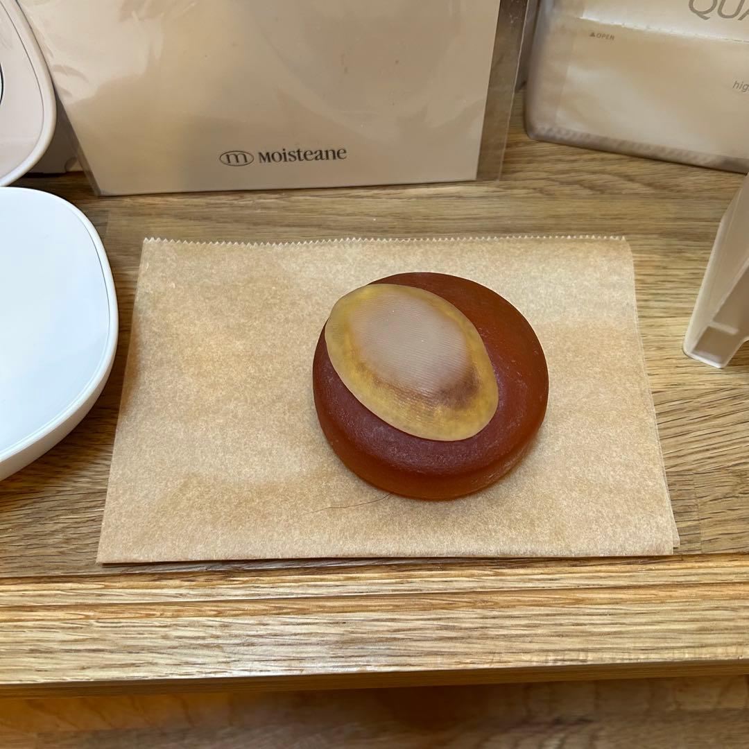 モイスティーヌIV 美容器