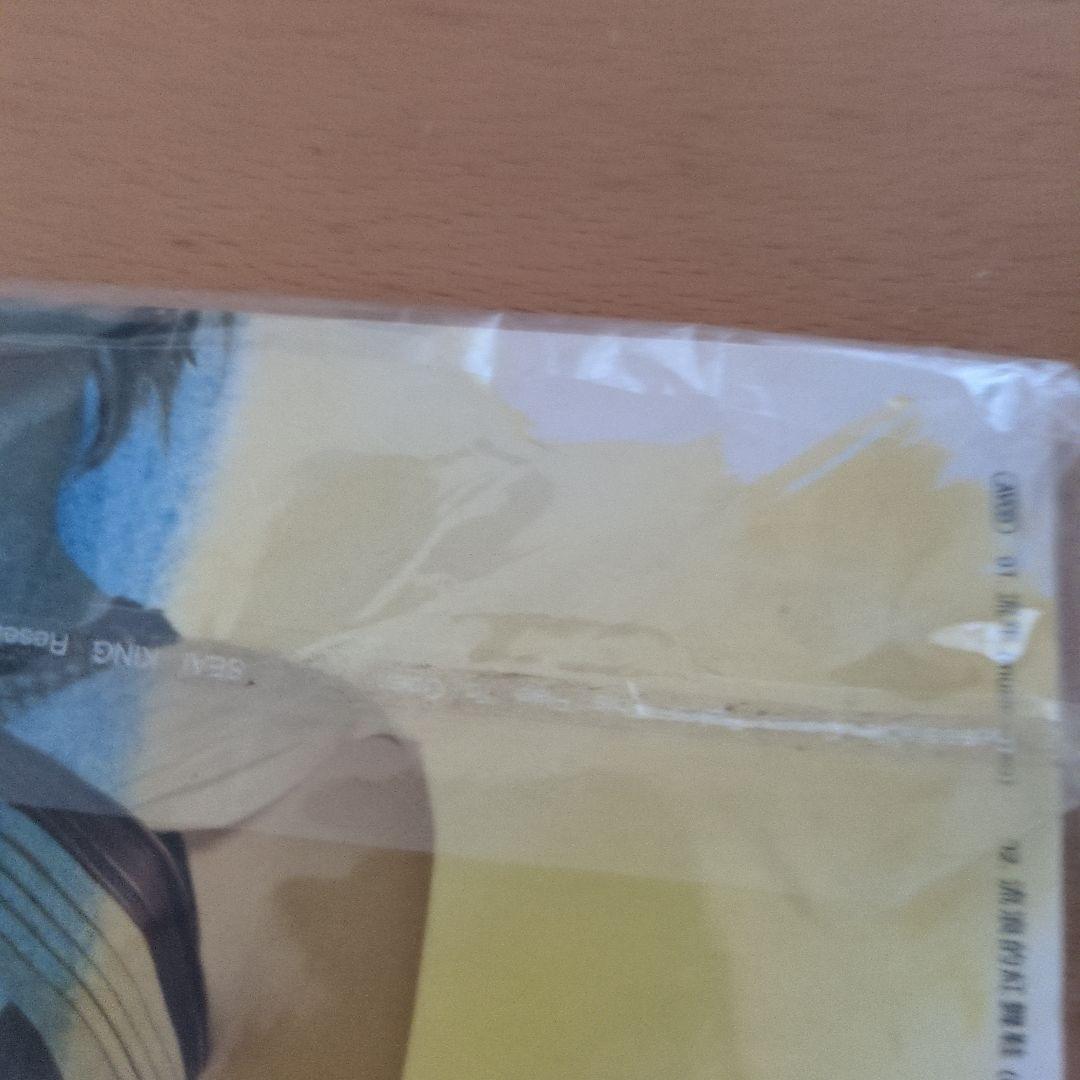 特典AVCD付き CD 流年・流浪的紅舞鞋 王菲 フェイウォン - メルカリ