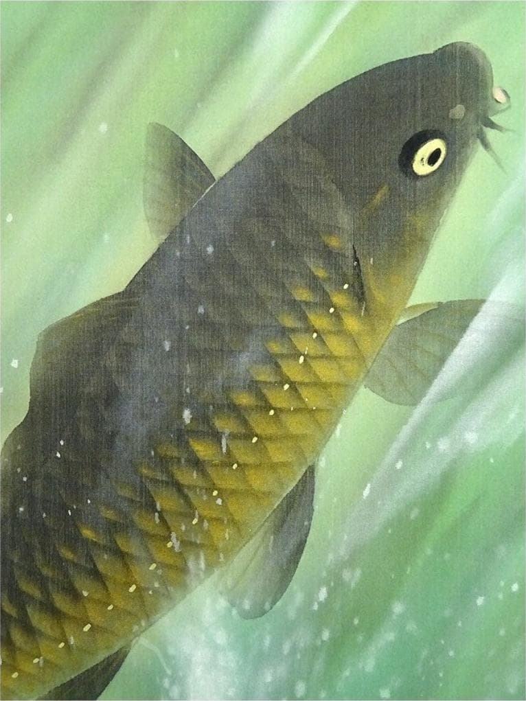 【真作】掛軸 馬堀喜孝『双鯉瀧上り』絹本 共箱 二重箱付 掛け軸 p052810