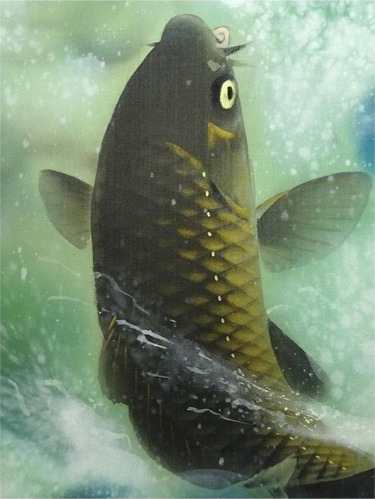 【真作】掛軸 馬堀喜孝『双鯉瀧上り』絹本 共箱 二重箱付 掛け軸 p052810