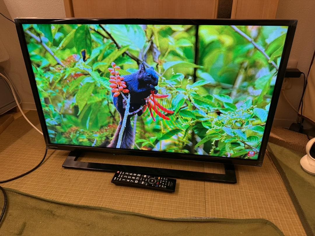 東芝 TOSHIBA　レグザ　テレビ 32型　32S22　2019年製　極美品！