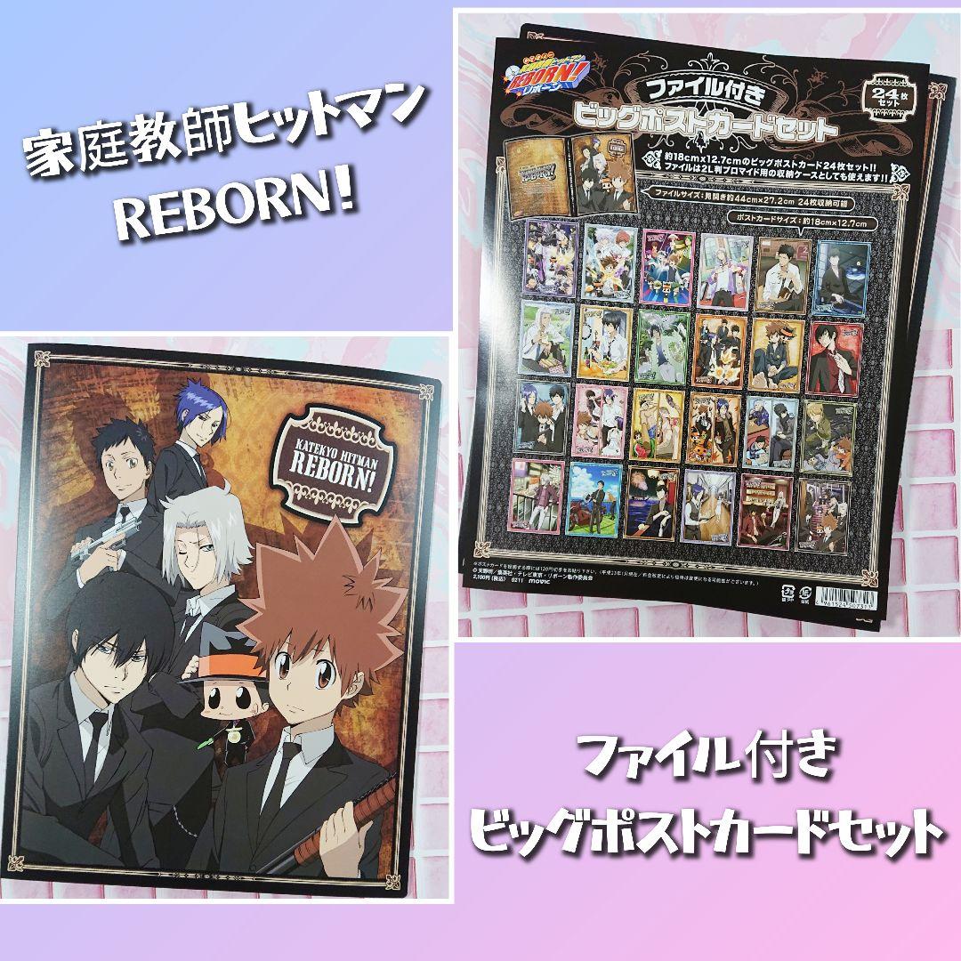 家庭教師ヒットマンREBORN！ ファイル付きビッグポストカードセット