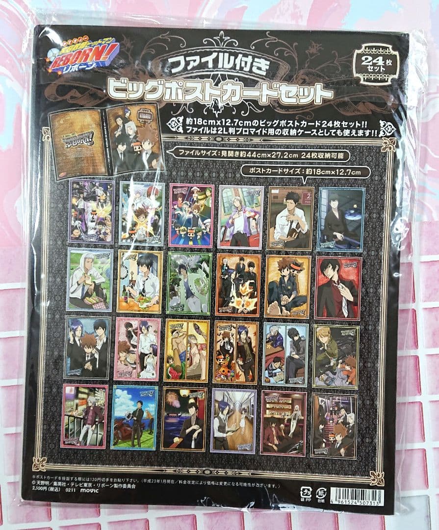 家庭教師ヒットマンREBORN！ ファイル付きビッグポストカードセット