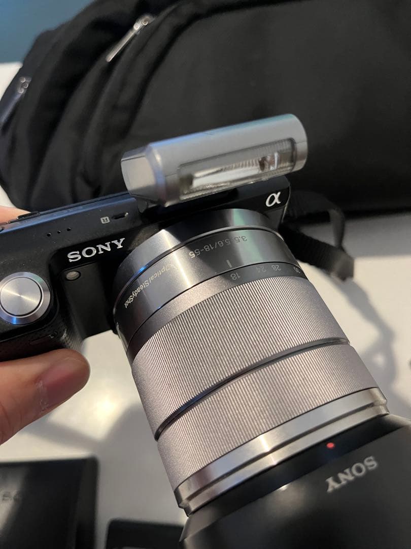 ピンクの猫　SONY NEX-5N 18-55mmレンズバッグフラッシュ