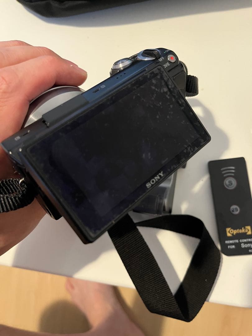 ピンクの猫　SONY NEX-5N 18-55mmレンズバッグフラッシュ