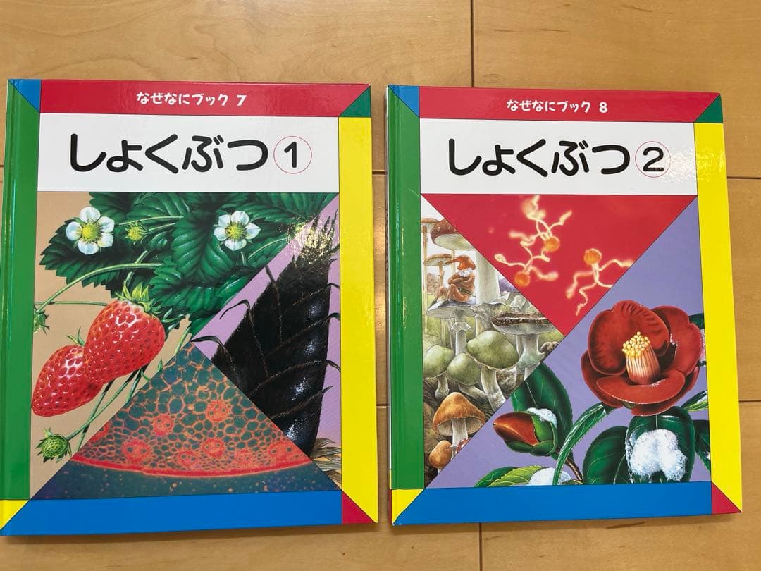 なぜなにブック　家庭保育園第4教室 22巻フルセット